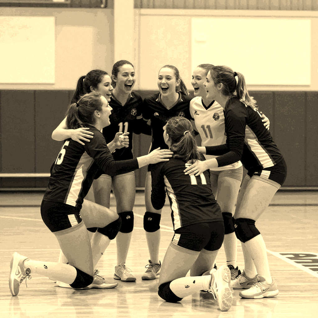 Egypt crowned African women's volleyball champions: Historic ticket to Los Angeles 2028 Olympics Egypt crowned African women's volleyball champions: Historic ticket to Los Angeles 2028 Olympics